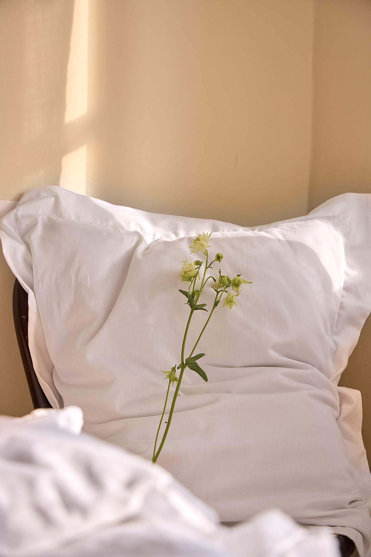 Kussensloop van satijn met vleugel Organisch katoen Set van 2