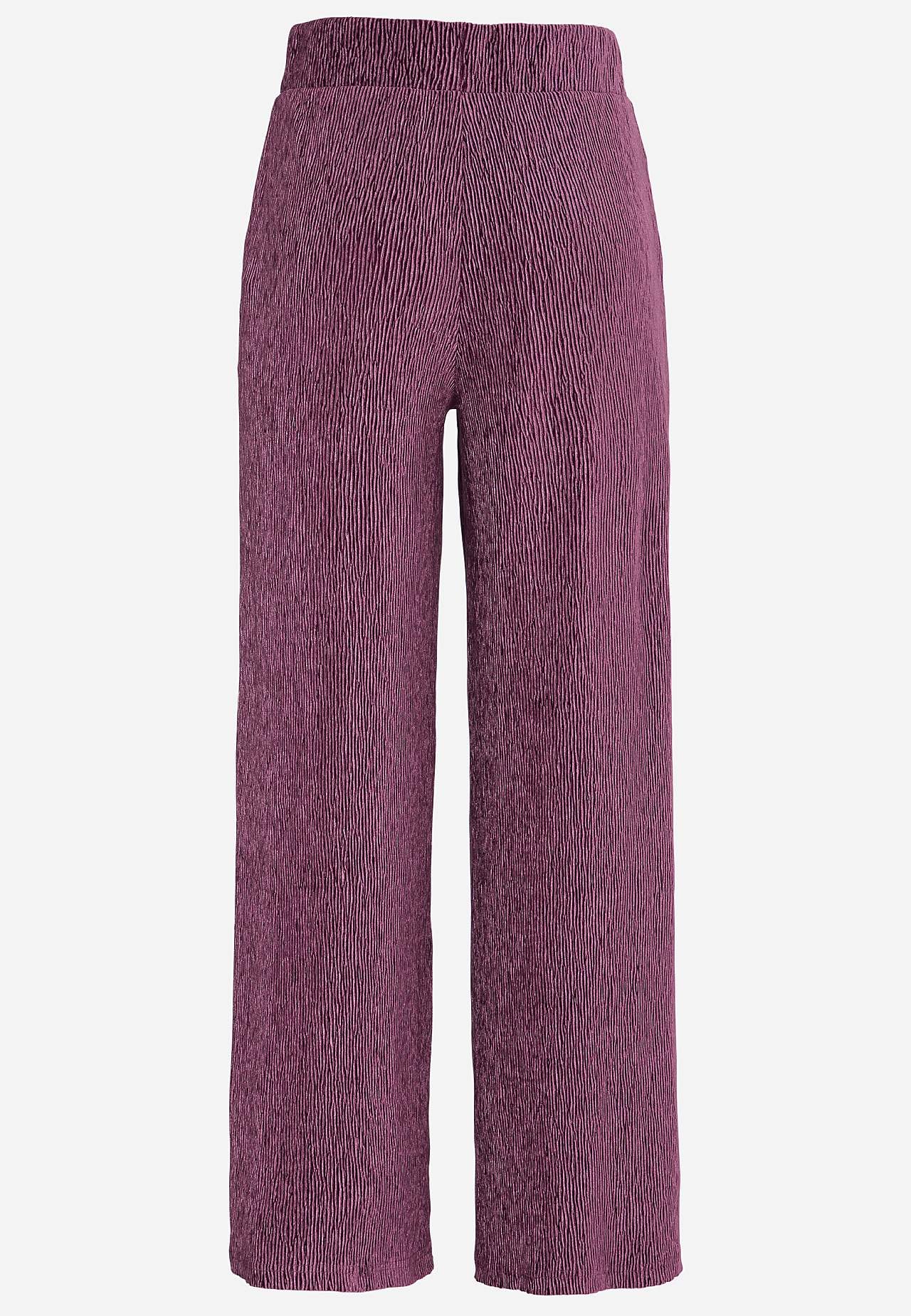 Feestbroek van velvet